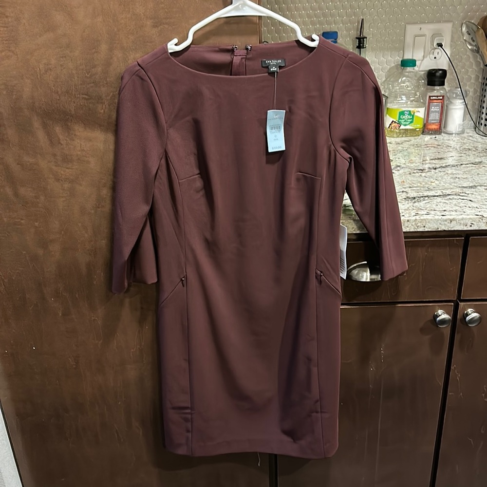 Ann Taylor Work Dress